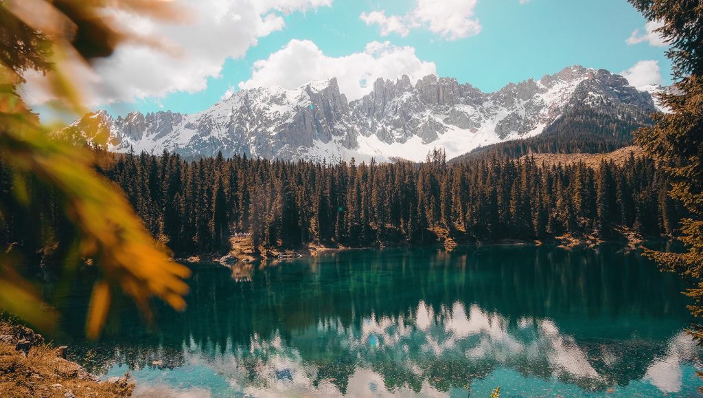 cristina-gottardi-GJ8ZQV7eGmU-unsplash