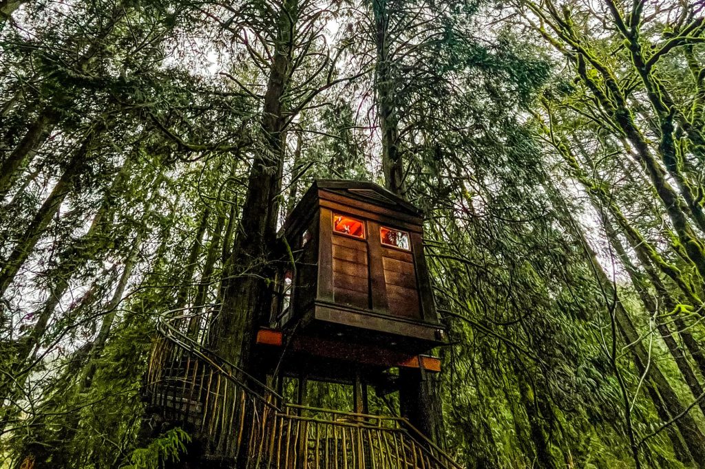 treehouse
